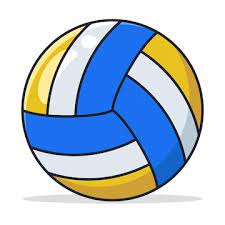 The Volleyball Logo